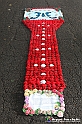 VBS_9650 - Infiorata di Villanova d'Asti 2023